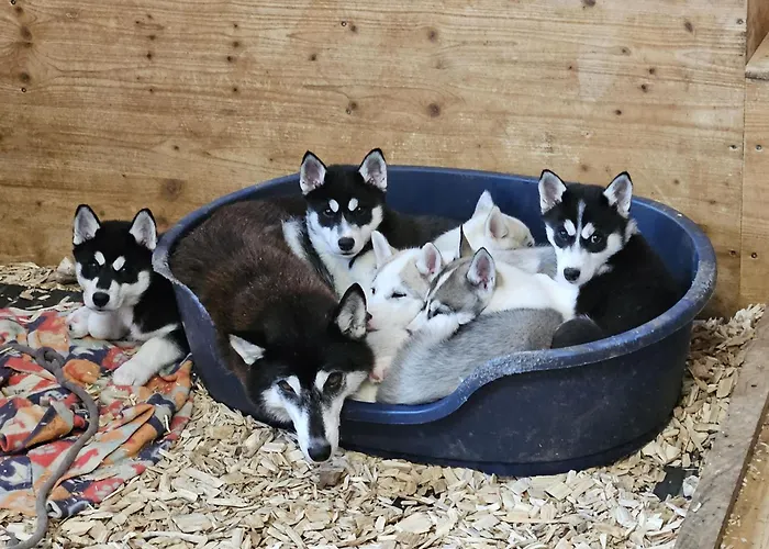 Apartamento Vent_du_nord